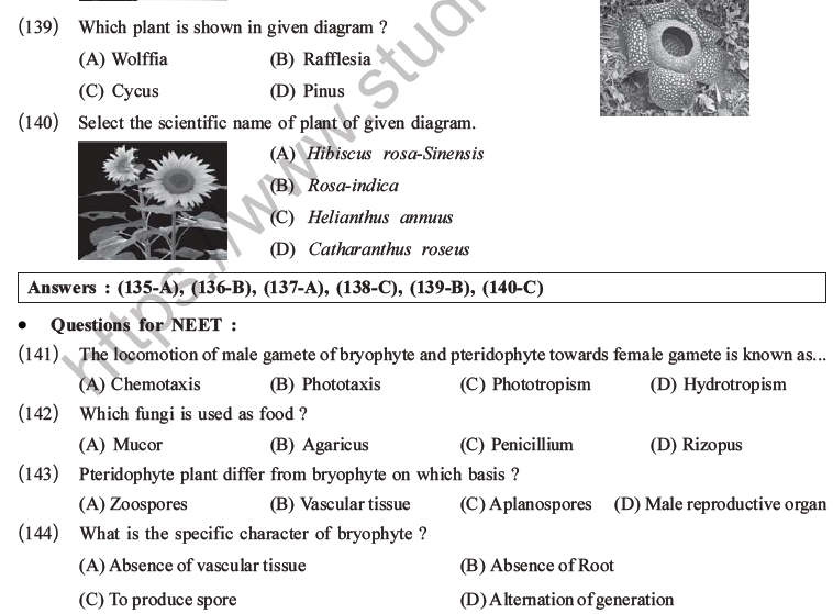 NEET Biology Classification Of Plant Kingdom MCQs Set A, Multiple ...